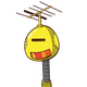 guest