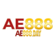 ae888daynet