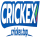 Avatar for Crickex Online Casino Bangladesh