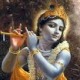 jkramavat's picture