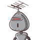 guest