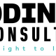 Avatar for odintconsulting