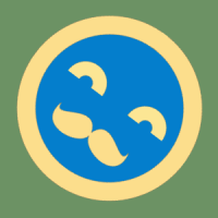 sai13