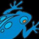 The Big Blue Frog Avatar