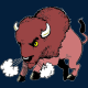 EpicBuffalo