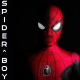 SPIDER BOY