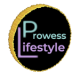 Avatar for Lifestyle Prowess