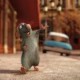 Rat2 的头像