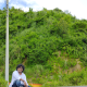 joykalyan