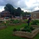 Community Table Garden