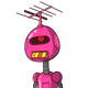 guest
