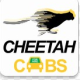 Avatar for cheetahcabs