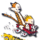 calvinnhobbes