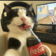 Sebzy's avatar