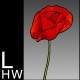 User avatar for lorrainehollowaywhite