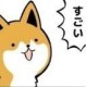 shibainurou@github