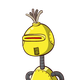 guest
