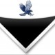 DM_Hawk