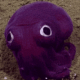 javaberry