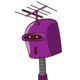 guest