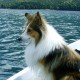 Kerstin