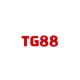 tg884com