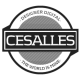 Avatar for Odes