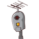 guest