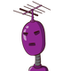 guest