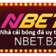 Avatar for Nbet