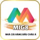 Avatar for Mig8