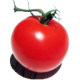 Allison (Spontaneous Tomato)