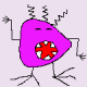Susi