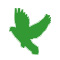 Kent Worley Avatar
