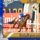 بوخالد المهيري
