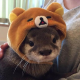 Avatar for kevin23916