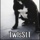 TwiSsTT