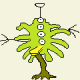 CoolObject520