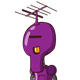 guest