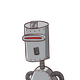 guest