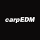 Avatar for carpedm20