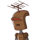 guest