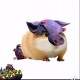 yaomot