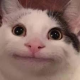 toduha