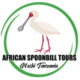 Avatar for African Spoonbill Tours and Safaris Ltd