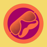 RafaelSacco