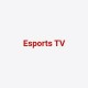Avatar for esportstv