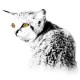 Avatar for Mikhail S. Pobolovets