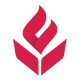 Lumiere Education