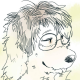 Avatar for しそじろう